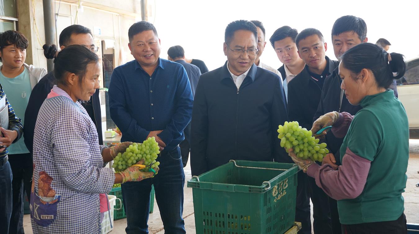 张文旺在元谋县调研时强调努力把元谋打造成全省现代农业的“珠穆朗玛峰”