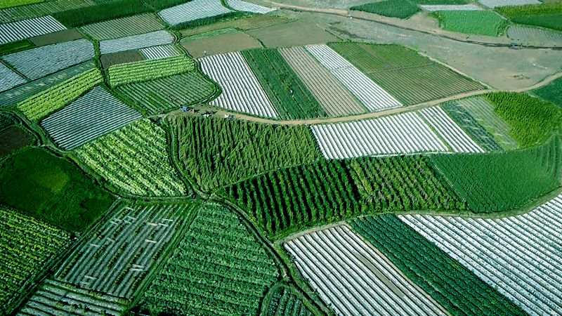 1652774345829488.jpg?x-oss-process=style/w10 元谋1.jpg?x-oss-process=style/w10